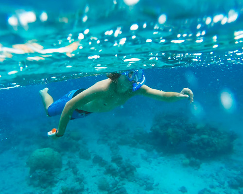 Snorkeling_CVO12
