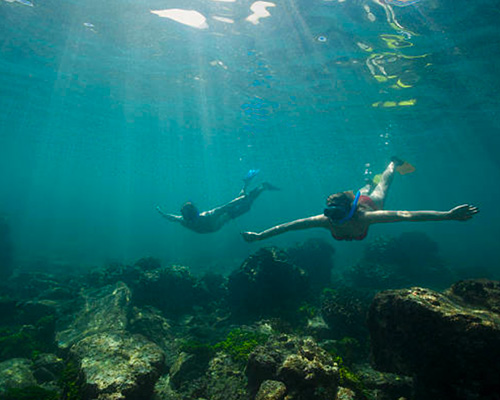 snorkeling_cvo3