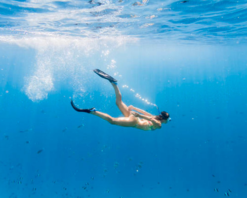 snorkeling_cvo_500_2